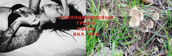 круглые Алексеевка