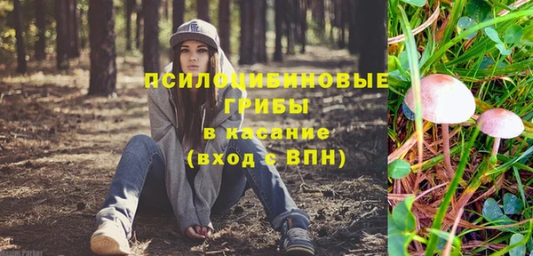 круглые Алексеевка