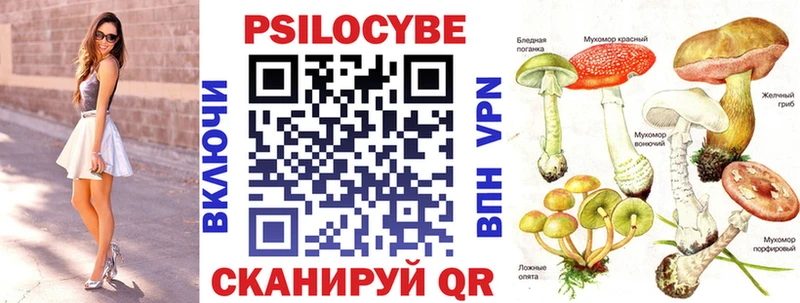 Галлюциногенные грибы MAGIC MUSHROOMS  цены наркотик  Нефтекумск 