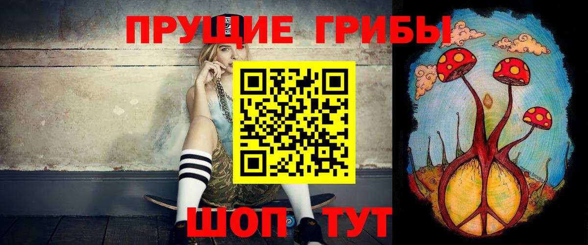 Нефтекумск  Псилоцибиновые грибы Psilocybine cubensis  Псилоцибиновые грибы Psilocybe  Вход с VPN 