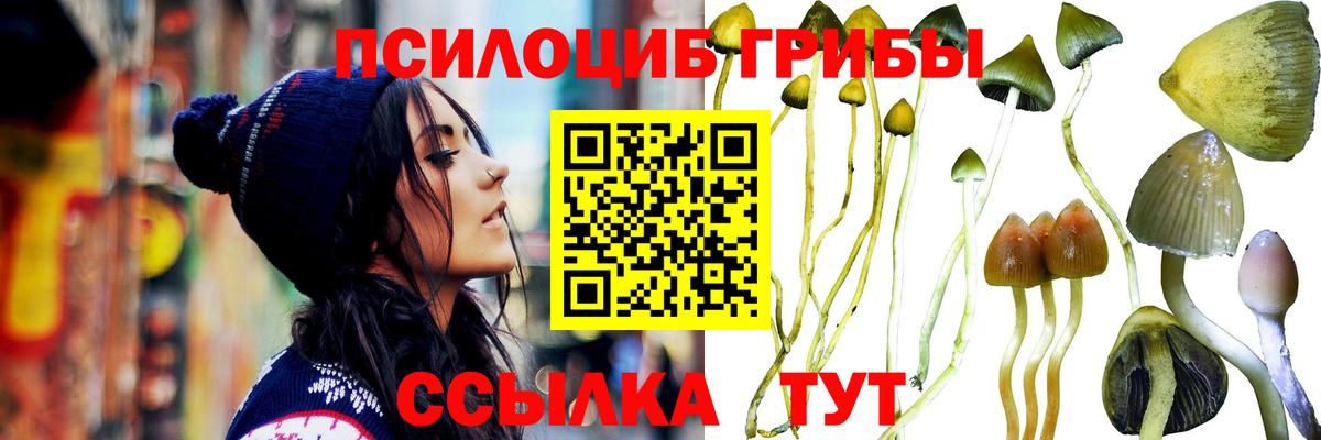 МЕФ кристаллы  Нефтекумск  APVP СК кристаллы  Вход с VPN  Канабис  ГАШИШ 