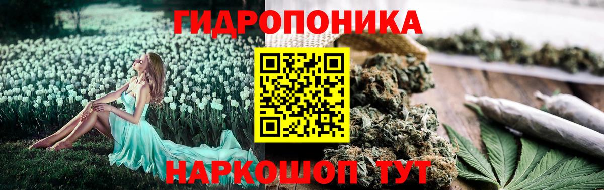 Бошки Шишки ГИДРОПОН  Бошки марихуана гибрид  Нефтекумск  МАРИХУАНА OG Kush  Вход с VPN  Марихуана индика 